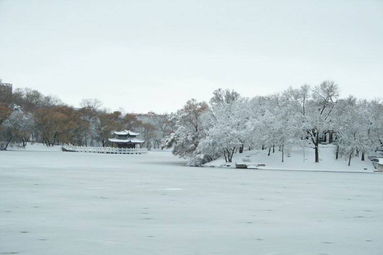 我校学员到龙沙公园外拍雪景